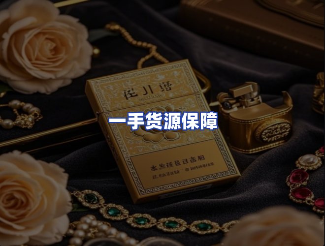专业团队
